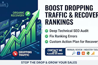 perform an SEO audit to fix organic traffic drops and ranking errors