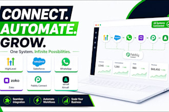integrate gohighlevel with salesforce whatsapp via zoko pabbly connect aircall