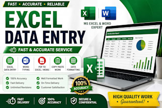 excel data entry, word typing and PDF conversion