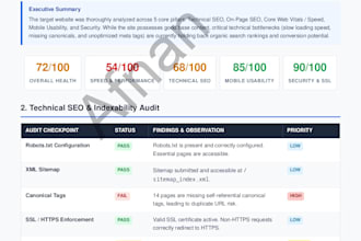 do in depth SEO audit