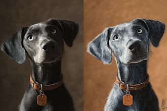 draw a amazing disney pet portrait