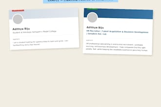 professionally write or revamp your resume and CV