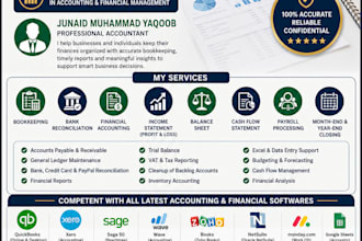 do professional bookkeeping and financial accounting
