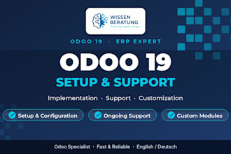 setup, configure and support your odoo 19 erp system