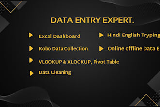 do expert excel data entry and copy paste work