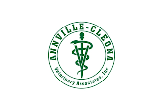 design surprising classic veterinary associates logo