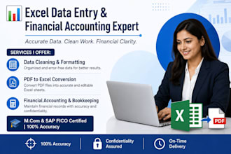 do excel data entry, data cleaning  and financial accounting