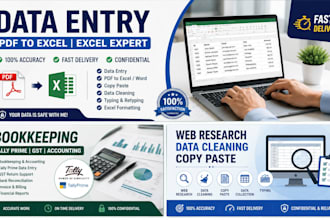 do accurate data entry, PDF to excel, excel data cleaning