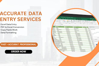 do accurate data entry, excel spreadsheet and data cleaning