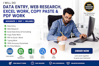 do accurate data entry, web research, copy paste, excel and PDF tasks