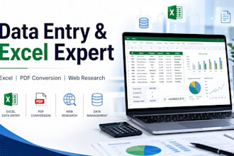 be your excel expert and data entry specialist