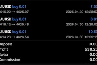 gold ea bot,forex trading ea forex robot forex trading robot forex ea trading ea
