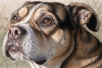 do custom pet portrait, dog portrait, cat portrait
