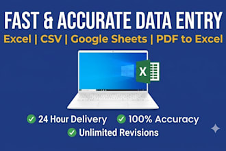 do fast and accurate data entry, excel, and copy paste work
