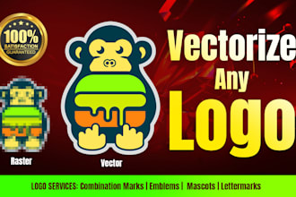 logo vectorization and redraw