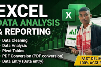 do excel data cleaning, data analysis, pivot tables