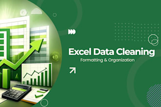 clean, format, and organize your microsoft excel data