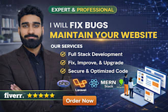 fix website bugs, errors and provide website maintenance