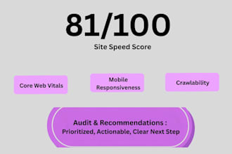 do a technical and on page SEO audit for your website