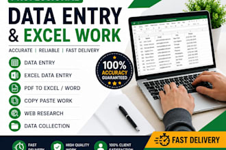 accurate data entry and excel work