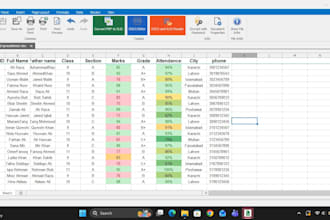 convert PDF to excel conversion and data entry work