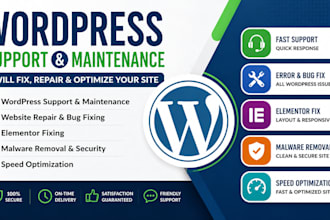 fix wordpress website issues and elementor