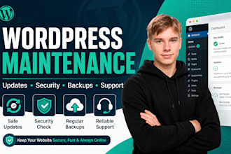 maintain update and secure your wordpress website