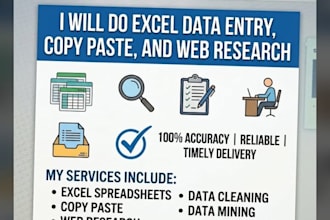 do professional data entry, ms excel, and copy paste work