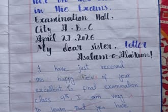 write beautiful hand written notes and assignments