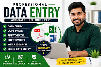do accurate data entry, excel, copy paste and PDF conversion