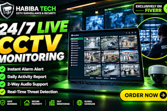 provide 24 7 expert cctv  monitoring and surveillance