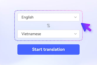provide quality english and vietnamese translations