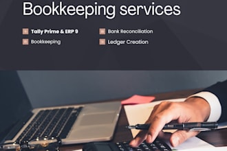 do professional bookkeeping and accounting in tally