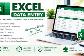 do accurate excel data entry and mis reporting