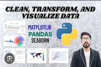 do data cleaning data visualization and python data analysis