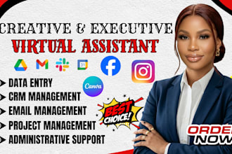 be creative virtual assistant personal executive VA social media admin VA, canva