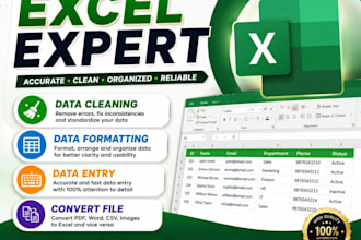 do data entry, data cleaning, data formatting
