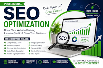 provide professional SEO optimization
