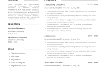 write and design professional resume and CV