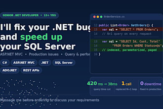 help to solve net mvc application bugs and issues