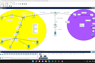provide professional network engineering, linux and IT support