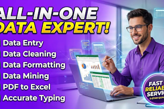 do copy paste data entry work and manual data entry in 24 hours