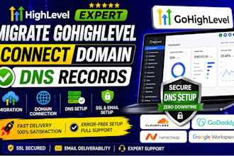 migrate gohighlevel connect domain dns records, cloudflare godaddy namecheap