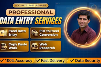 do professional data entry and copy paste work