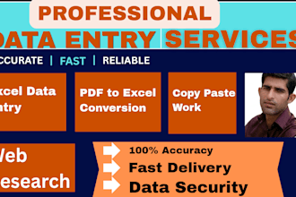do professional data entry and copy paste work