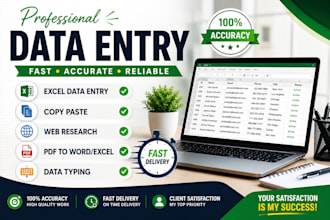 do excel data entry, data typing and web research