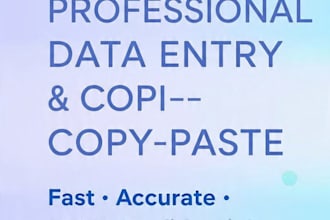do accurate data entry and excel spreadsheet work