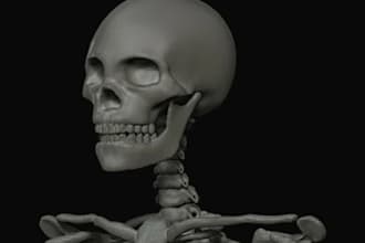 3d model of a human skeleton,anatomy sculpt,figurine art,digital mesh,blend file