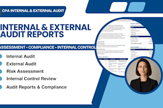 perform internal and external audit, risk assessment, internal control review