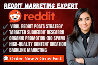 do reddit SEO post and backlink marketing to promote website